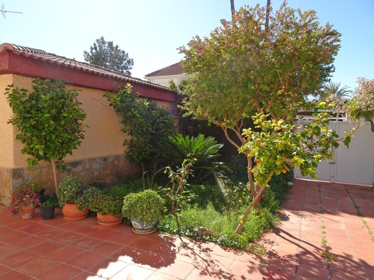 Villa Del Duque, Gandia - Playa de Gandia Zewnętrze zdjęcie