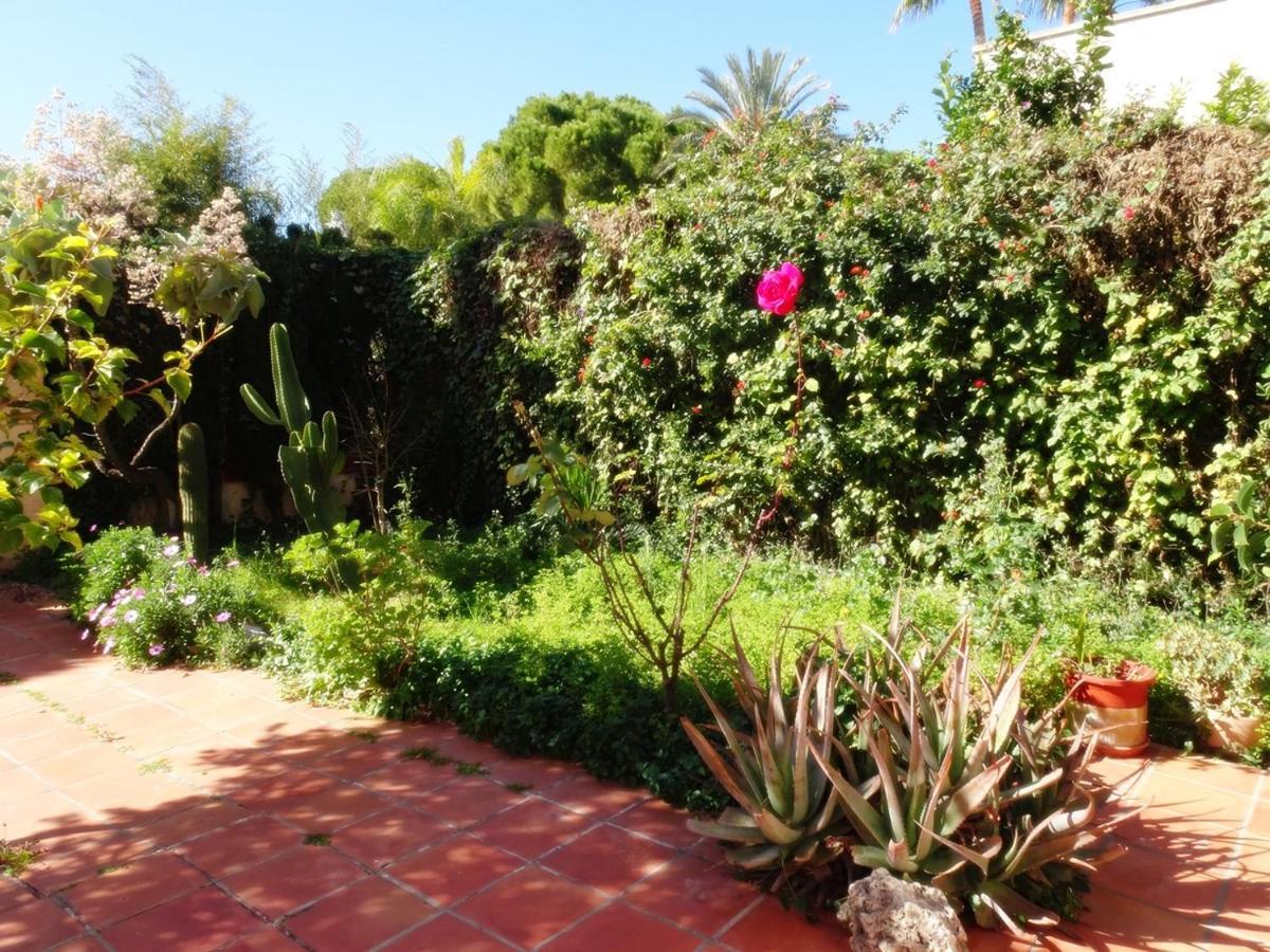 Villa Del Duque, Gandia - Playa de Gandia Zewnętrze zdjęcie