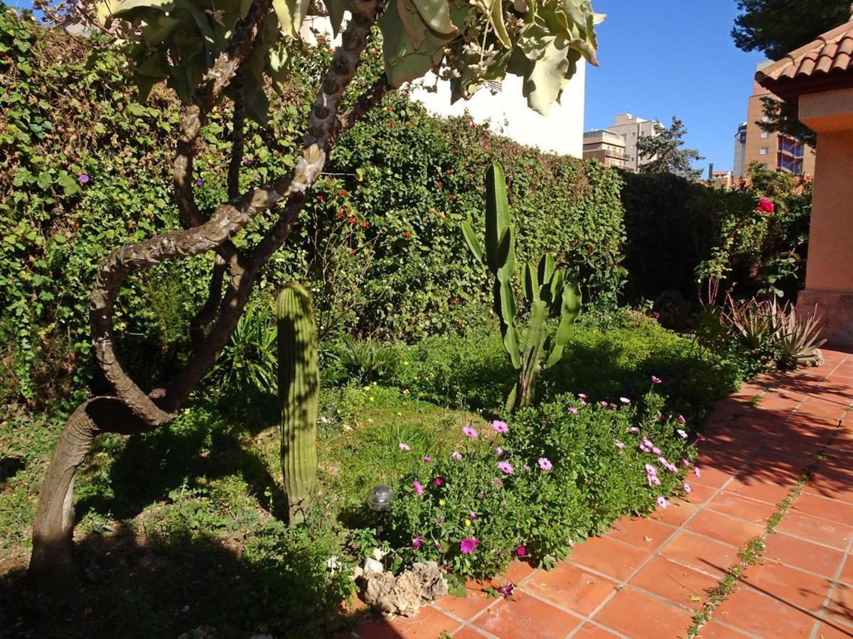 Villa Del Duque, Gandia - Playa de Gandia Zewnętrze zdjęcie
